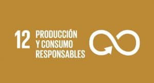 producción y consumo responsable objetivo 12 de los ods